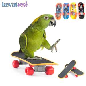 Skateboard per pappagallini