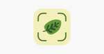 [iOS] Leaf Identification