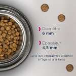 EUKANUBA Grain Free | Cibo secco per Gattini in Crescita (al salmone, 10kg)