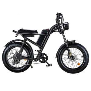 Bicicletta elettrica Z8 [500W Motor 15Ah]