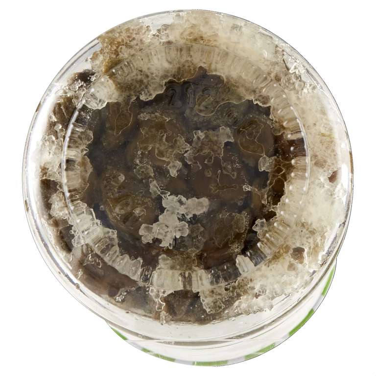 Capperi Saclà al Sale Marino | Confezione da 12 per 130g, in vaso