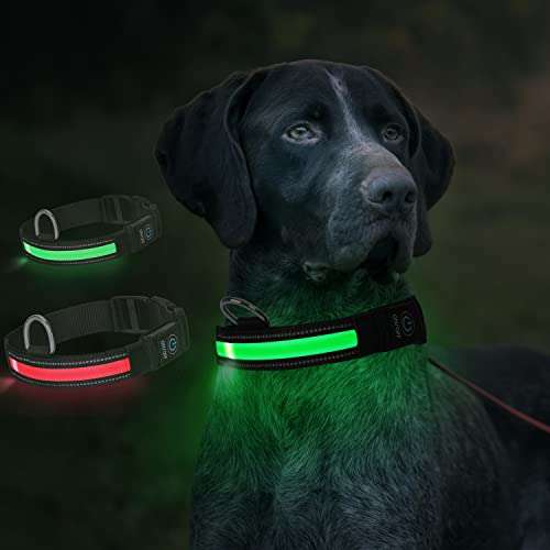 Collare LED per cani [Impermeabile, ricaricabile USB]