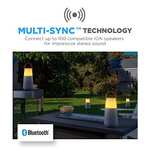 ION Audio Bright Max – Cassa Bluetooth Amplificata Portatile