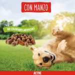 Purina Friskies Active | Crocchette di Manzo per Cani 9kg