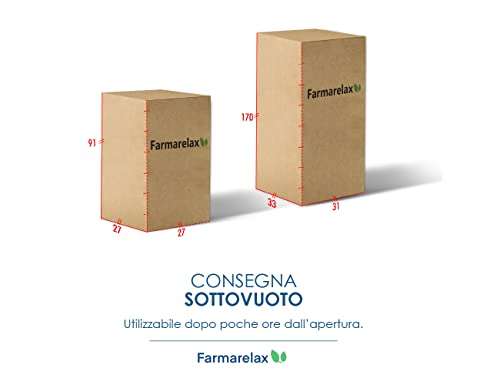 Farmarelax Materasso Memory Singolo [80x190, Altezza 20 cm]