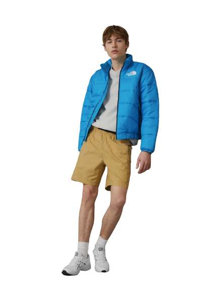 The North Face JACKET Giacca invernale [colori verde, blu]
