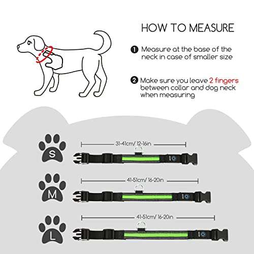Collare LED per cani [Impermeabile, ricaricabile USB]