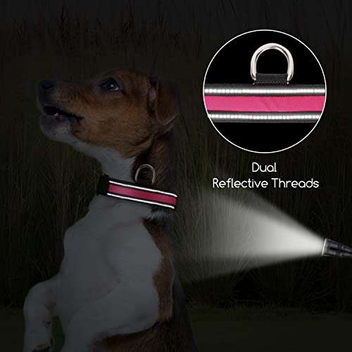 Nobleza - LED Collare Luminoso per Cani, con 3 modalità di colore