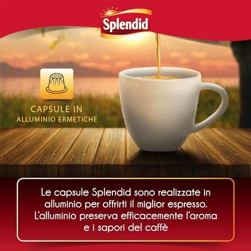 Splendid - Caffè Macinato Gusto Espresso - Miscela per Macchina Caffè  Espresso - 12 Confezioni - Pacco da 250 gr