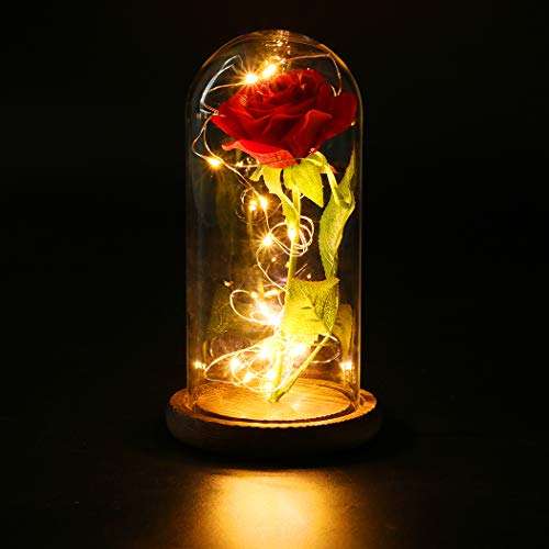 Rosa La Bella e la Bestia Rose Incantate con Luci LED