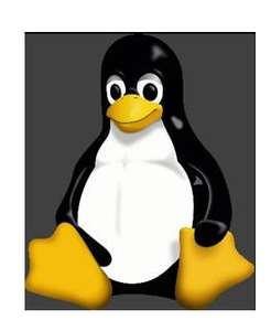 Corso Gratis Udemy : Linux/Unix per principianti [In Inglese]