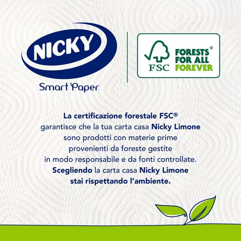 Nicky Limone Carta Cucina - 2 Rotoli da 100 Fogli Assorbenti