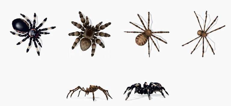 [IOS] AR Spiders PRO Gratis