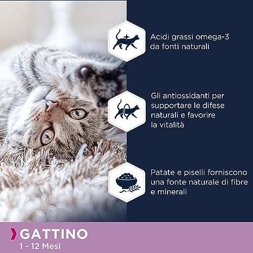 EUKANUBA Grain Free | Cibo secco per Gattini in Crescita (al salmone, 10kg)