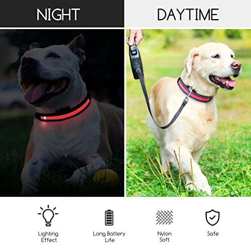 Nobleza - LED Collare Luminoso per Cani, con 3 modalità di colore
