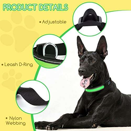 Collare LED luminoso per Cani: regolabile, in nylon riflettente [colore casuale]