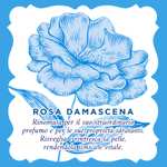 Acqua Alle Rose | Crema Viso Idratante con Acqua di Rosa Damascena e Vitamina E, 50ml