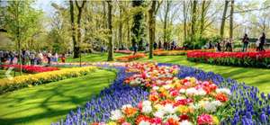 Amsterdam: Keukenhof + Hotel con colazione inclusa - Ingresso al parco floreale più bello del mondo [da 79€ a persona]