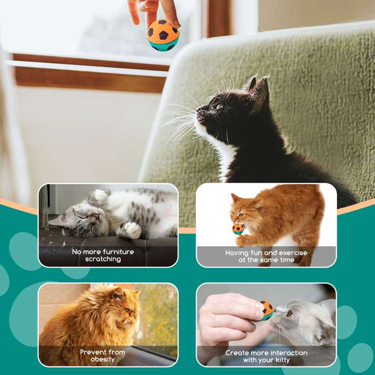 Giochi per Gatti: Palla Arcobaleno 12 pezzi |Senza Rumore, giocattoli interattivi 3,5 cm