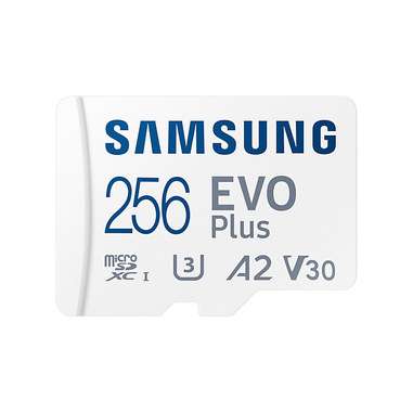 Samsung EVO Plus 256 GB [SDXC UHS-I Classe 10]