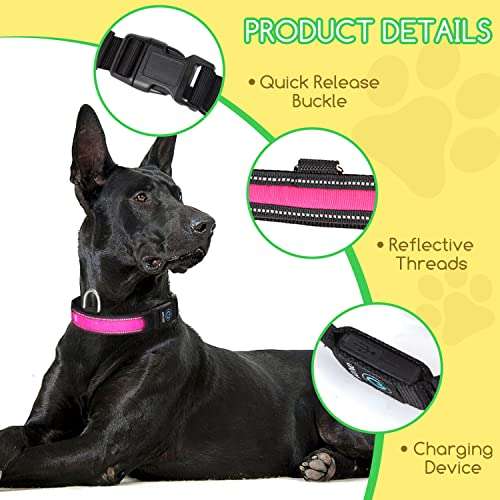 Collare LED luminoso per Cani: regolabile, in nylon riflettente [colore casuale]