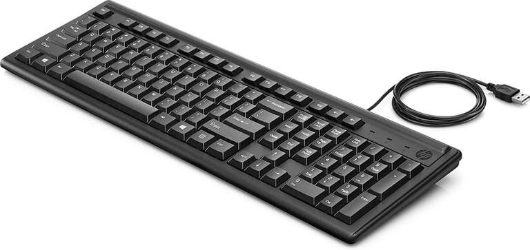 HP Tastiera Keyboard 100